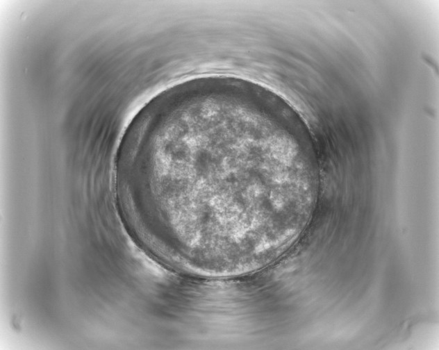 X0000093171527200710241029