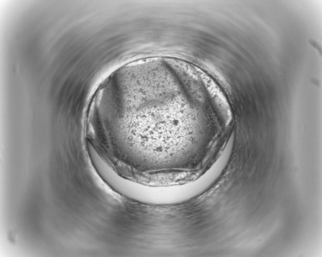 X0000093171528200710241029