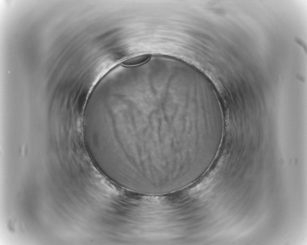 X0000093171529200710241029