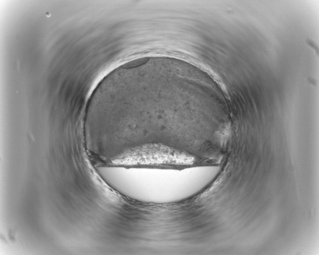 X0000093171530200710241029