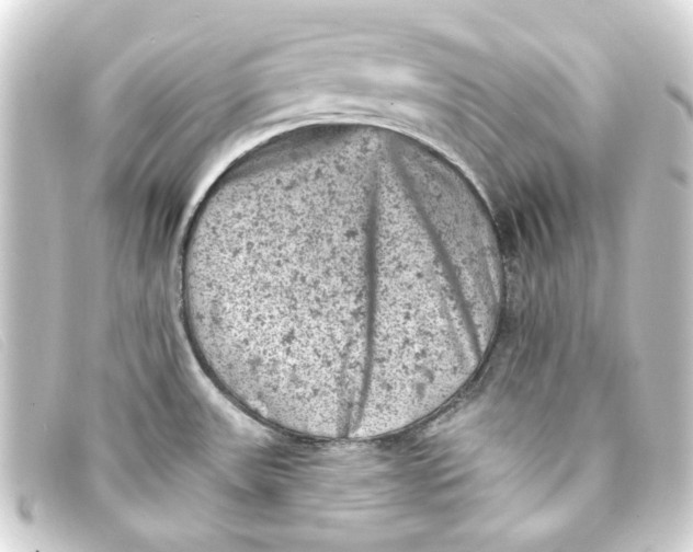 X0000093171531200710241029