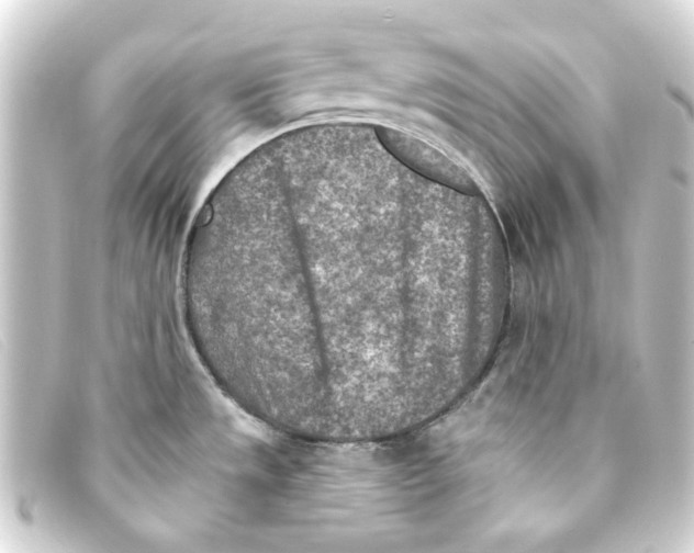 X0000093171533200710241029