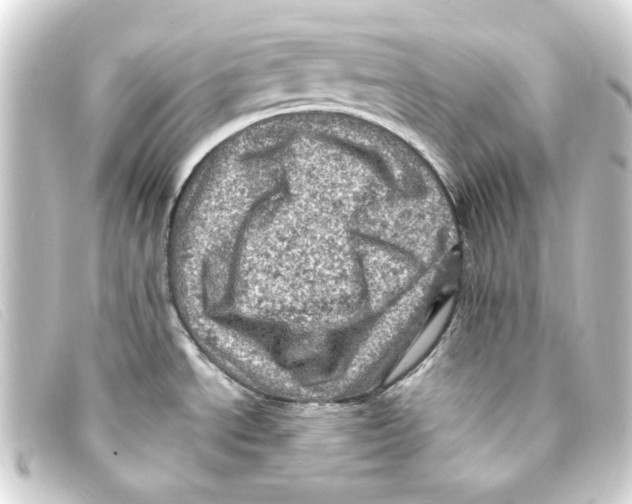 X0000093171534200710241029