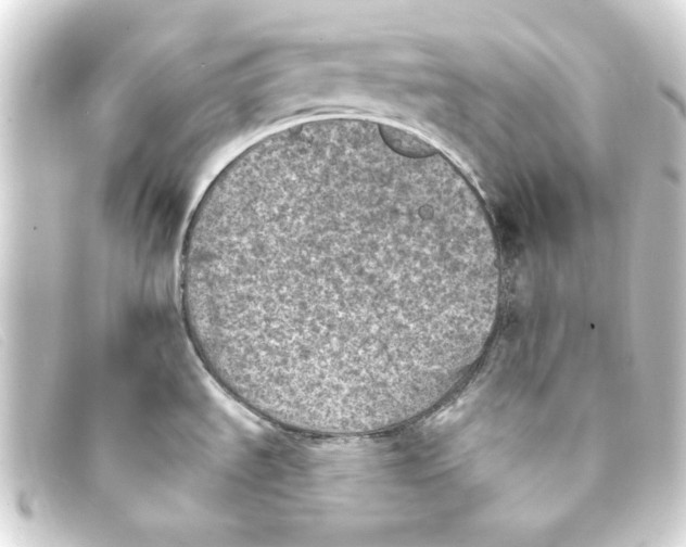 X0000093171535200710241029