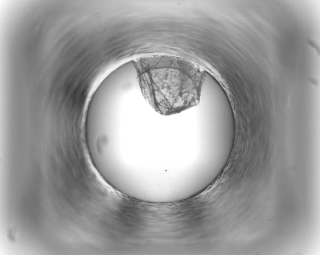 X0000093171536200710241029