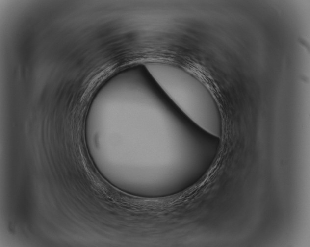 X0000093210001200709261434