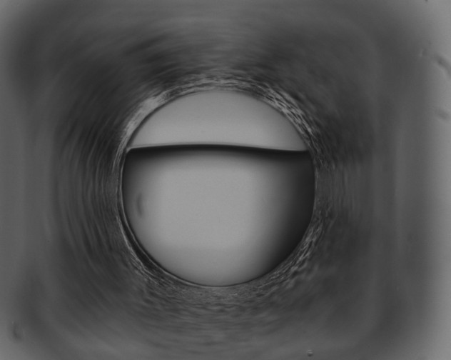 X0000093210003200709261434
