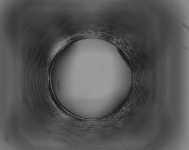 X0000093210005200709261434