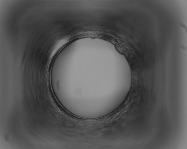 X0000093210006200709261434