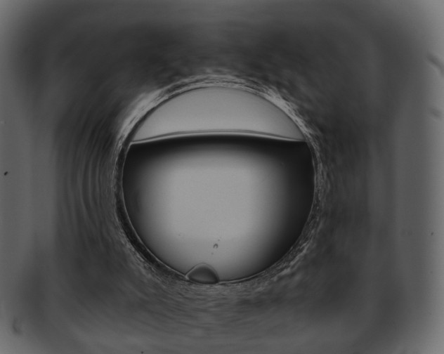 X0000093210007200709261434