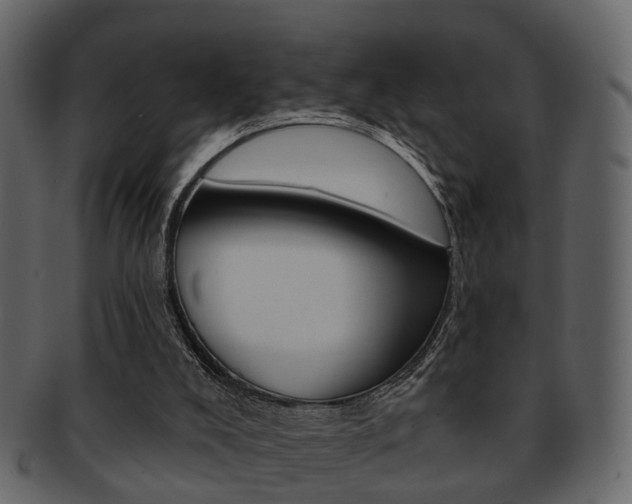 X0000093210008200709261434