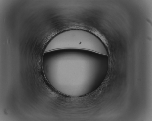 X0000093210009200709261434