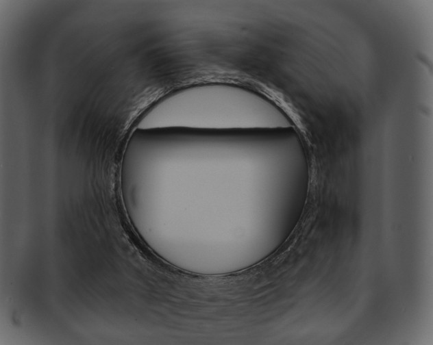 X0000093210010200709261434