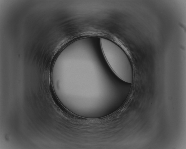 X0000093210011200709261434