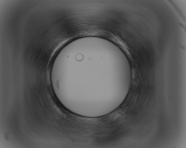 X0000093210012200709261434