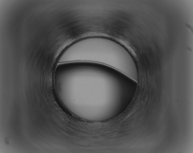 X0000093210015200709261434