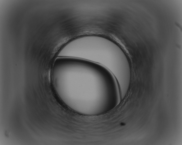 X0000093210019200709261434