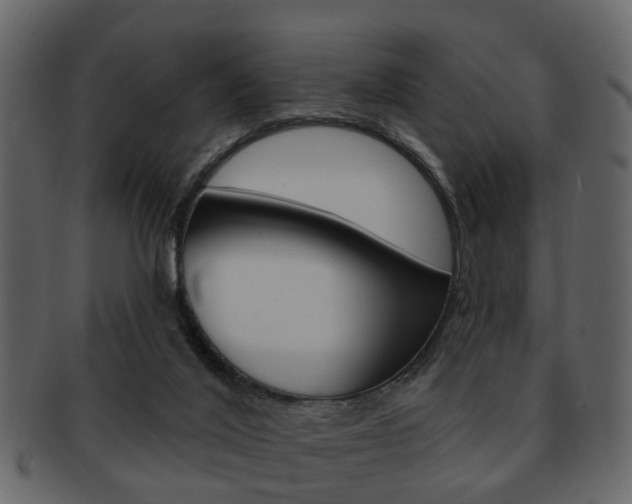 X0000093210020200709261434