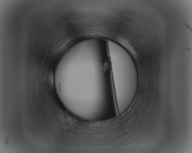 X0000093210021200709261434