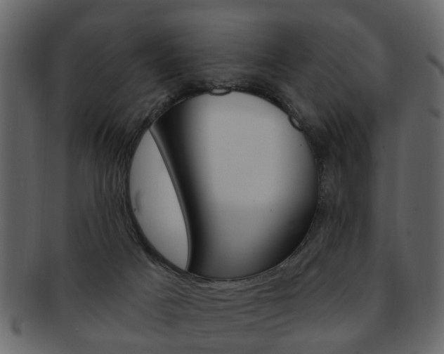 X0000093210025200709261434