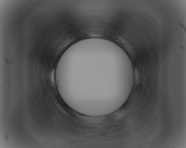 X0000093210028200709261434