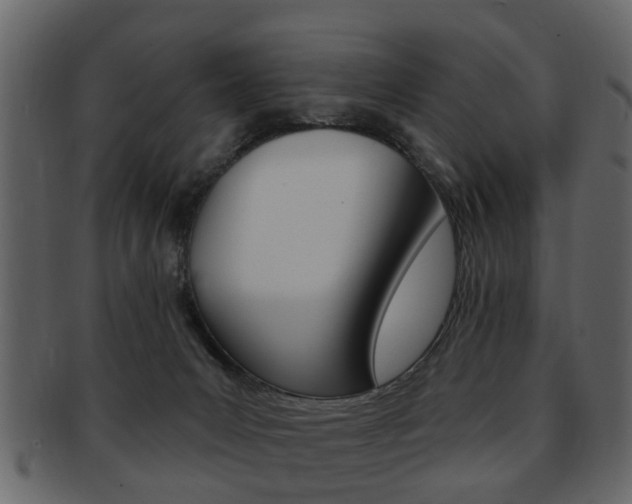 X0000093210031200709261434