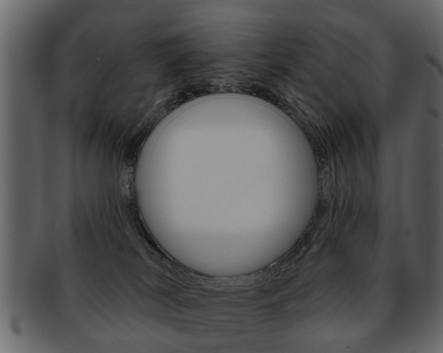 X0000093210038200709261434