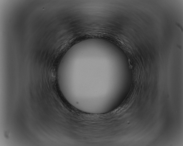X0000093210040200709261434