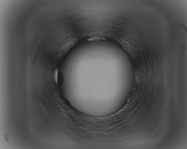 X0000093210047200709261434