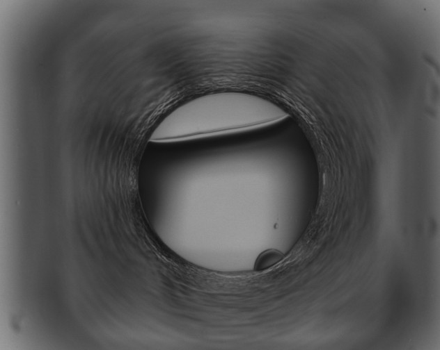 X0000093210048200709261434