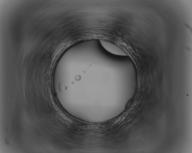 X0000093210049200709261433