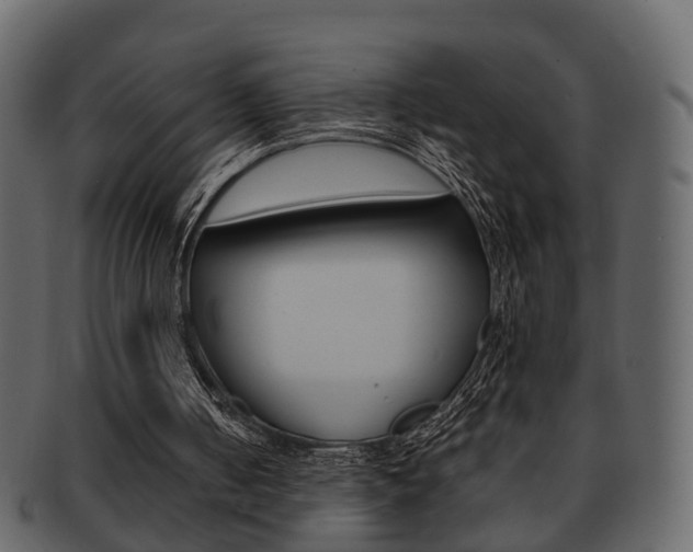 X0000093210050200709261433