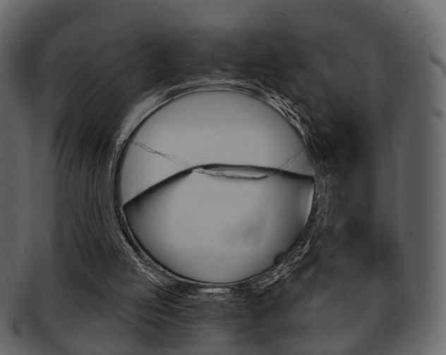 X0000093210053200709261433