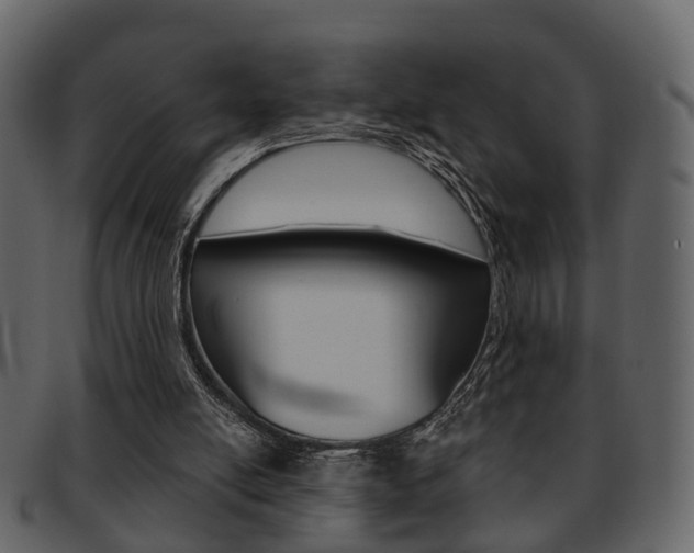 X0000093210054200709261433