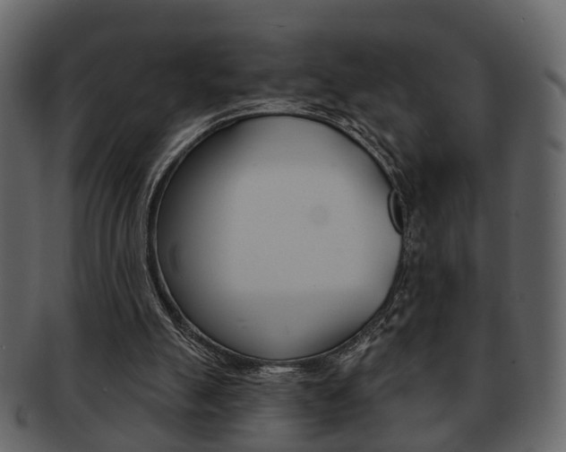 X0000093210055200709261433