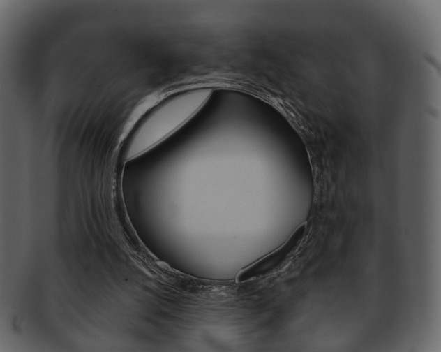 X0000093210056200709261433