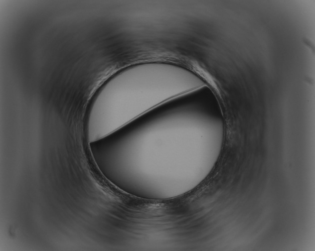 X0000093210059200709261433