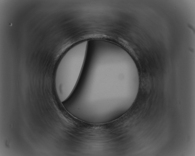 X0000093210063200709261433