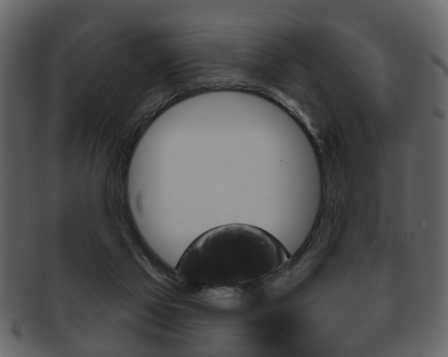 X0000093210069200709261433