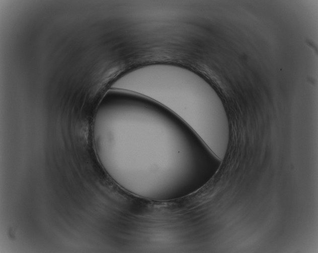 X0000093210072200709261433