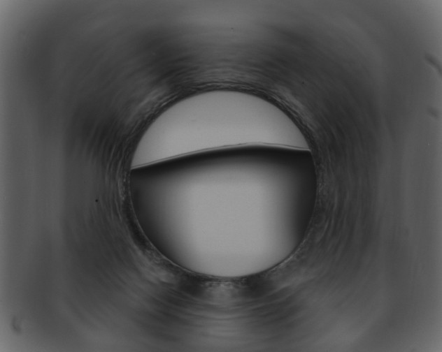 X0000093210074200709261433