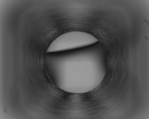 X0000093210082200709261434