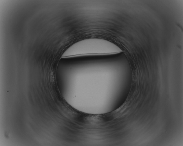 X0000093210086200709261434