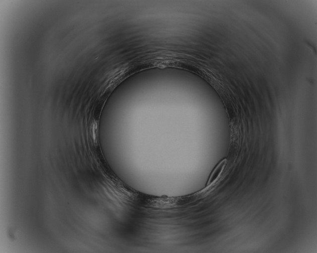 X0000093210094200709261434
