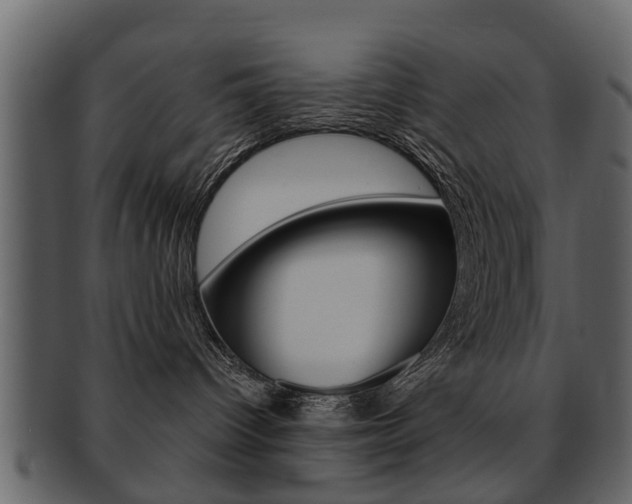 X0000093210096200709261434
