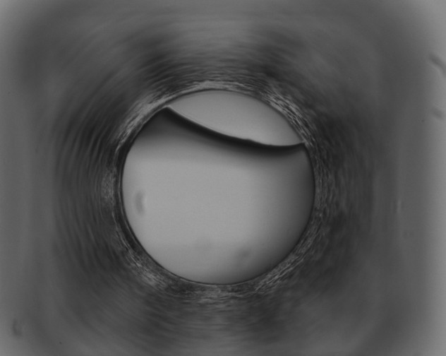 X0000093210098200709261433