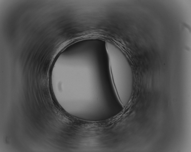 X0000093210100200709261433