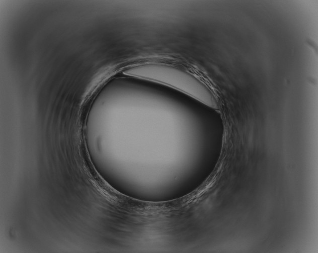 X0000093210101200709261433