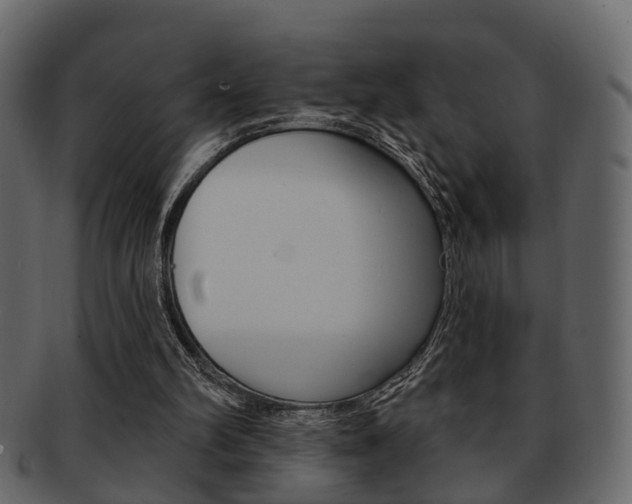 X0000093210102200709261433