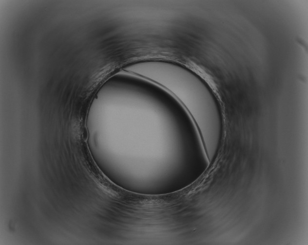 X0000093210105200709261433